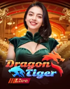 AH88 live casino setup with immersive real time interaction